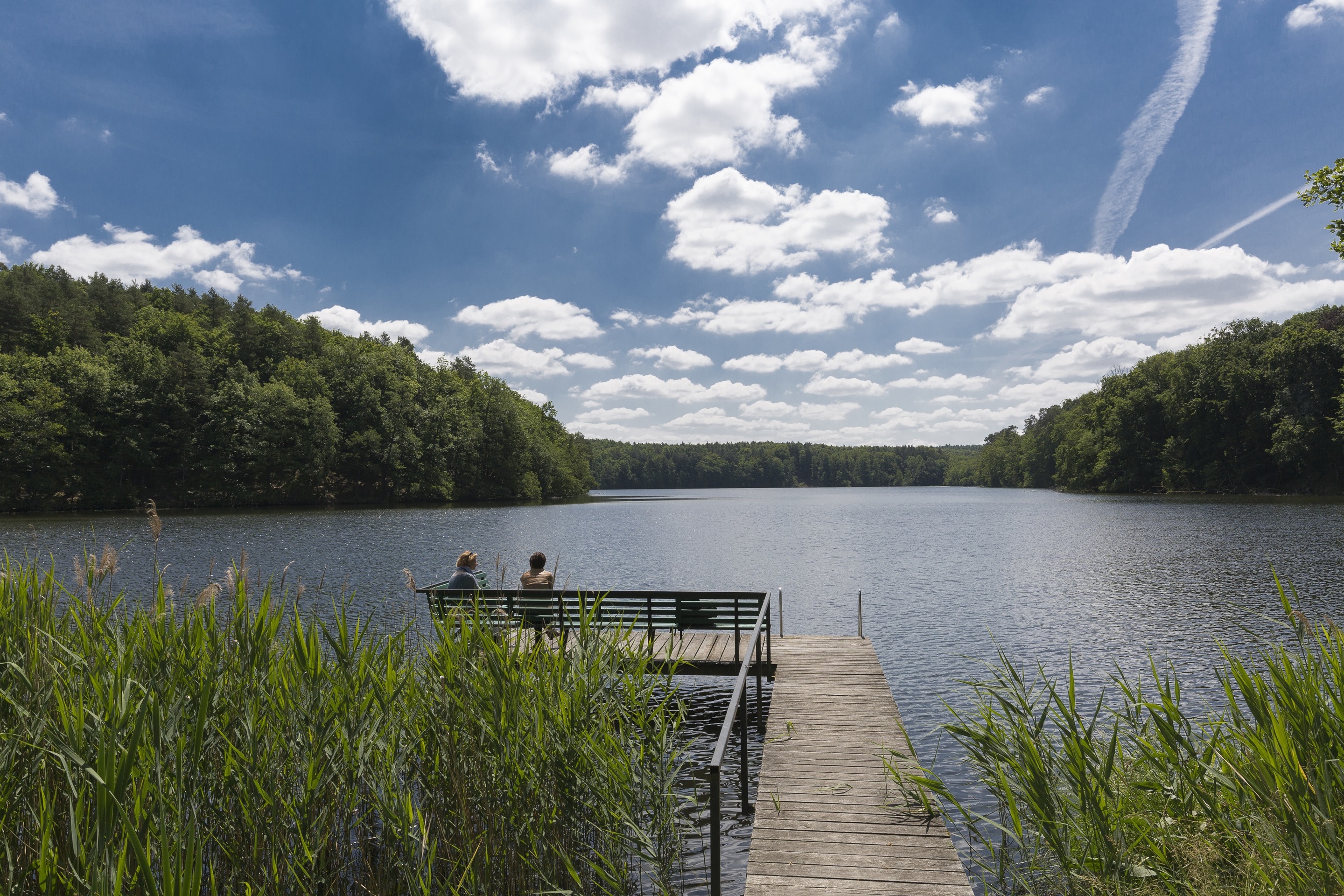 Hammersee, Foto: TMB-Fotoarchiv/Steffen Lehmann, Lizenz: TMB-Fotoarchiv/Steffen Lehmann